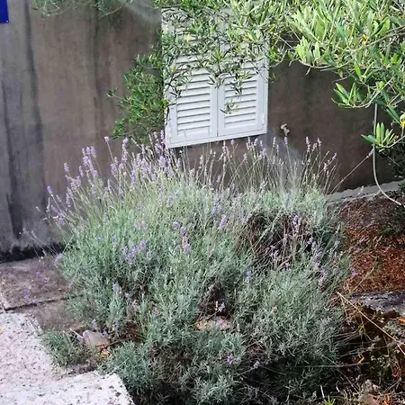 דירה Beach House Olea