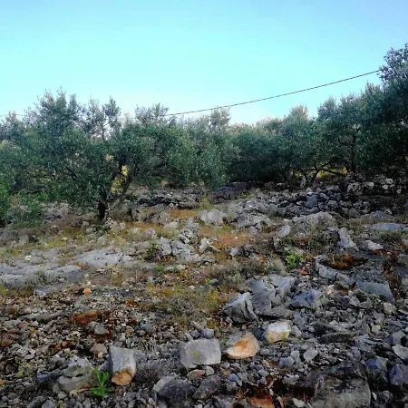 Beach House Olea דירה